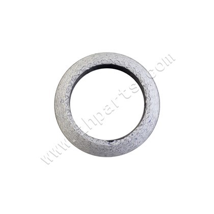 Duslintuvo sandariklio žiedas GA413 variklis, skirtas SUZUKI Carry Jimny DAEWOO DAMAS